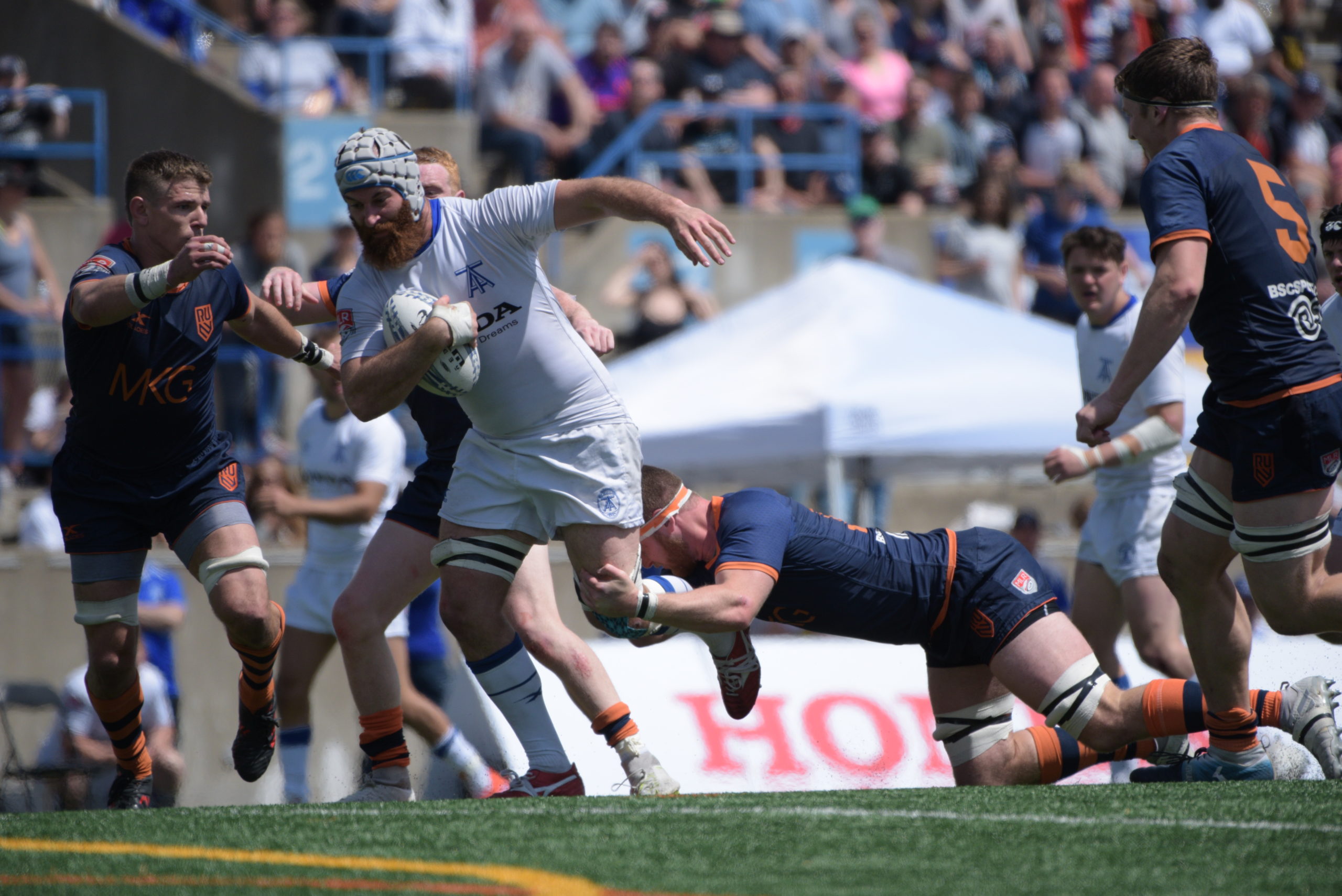 Toronto Arrows Announce the Return of Sheppard & Sheridan, Signing of Higgins